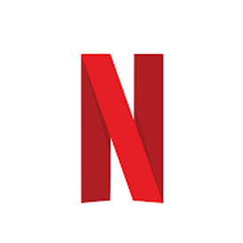 Netflix 300 Try (TL) TURKEY STOCKABLE